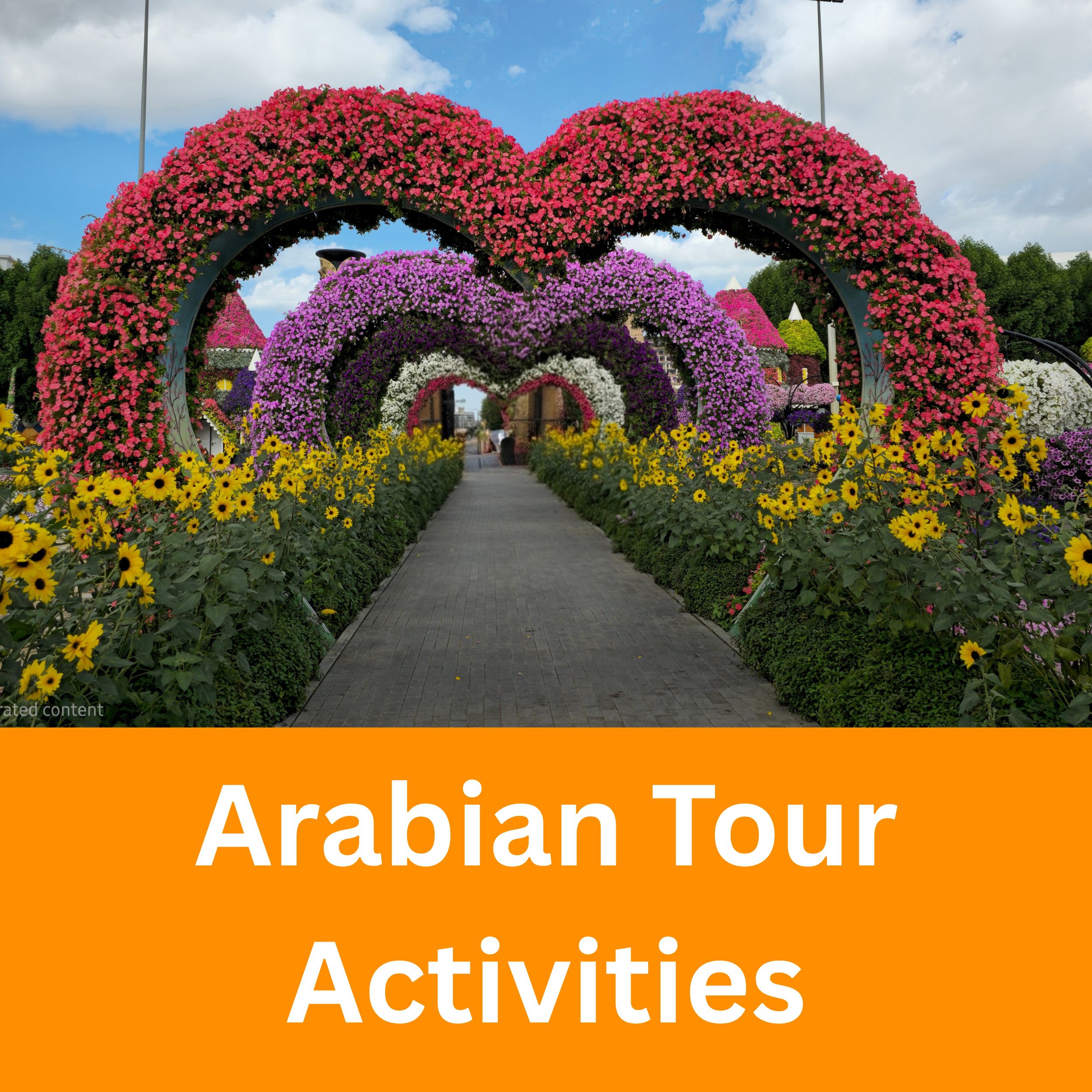 Arabian Tour Activities